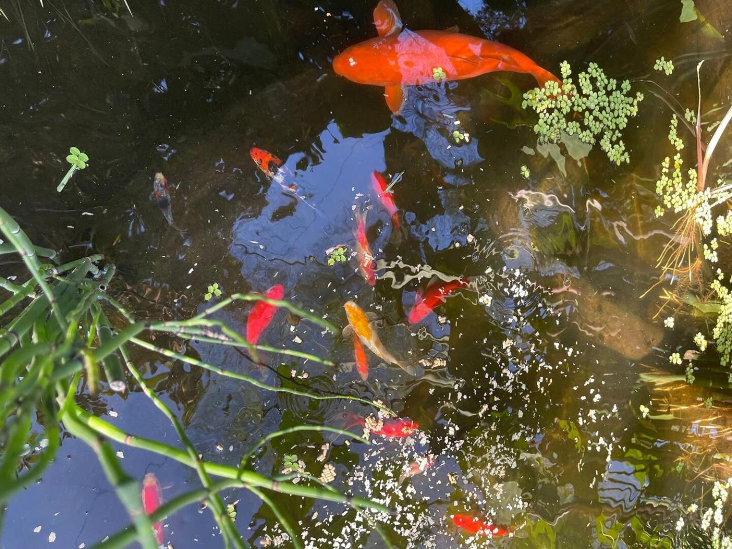 A Casa Do Lago Camarate  Экстерьер фото